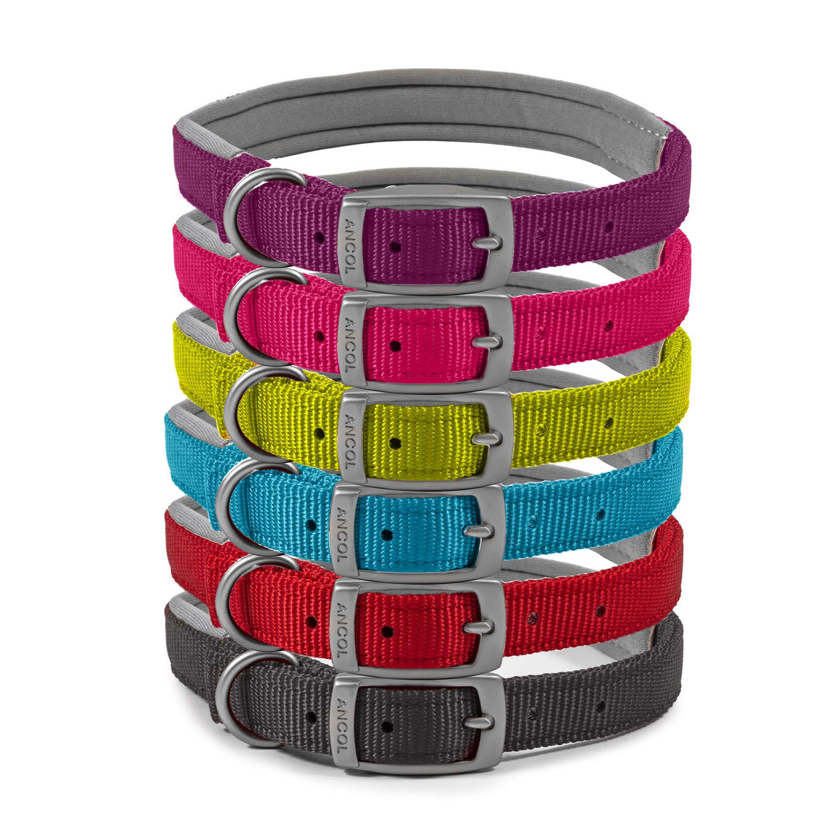 Ancol padded dog collar in black