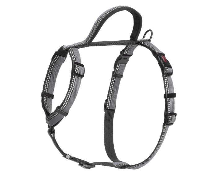 Walk Harness