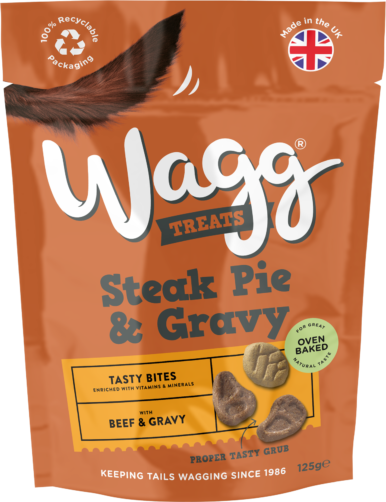 Treats - Steak Pie & Gravy
